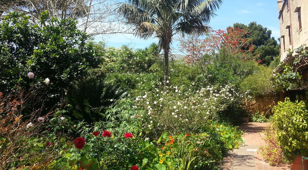 Bed and Breakfast Il Glicine La Piana Dei Colli Mondello Exterior foto