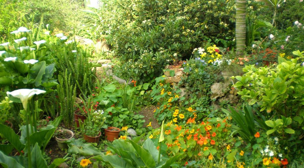 Bed and Breakfast Il Glicine La Piana Dei Colli Mondello Exterior foto